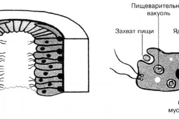 Блэк спрут нет blacksprut adress com