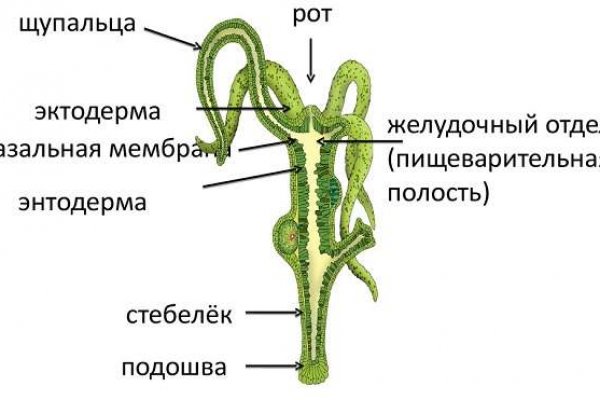 Новая ссылка blacksprut 1blacksprut me