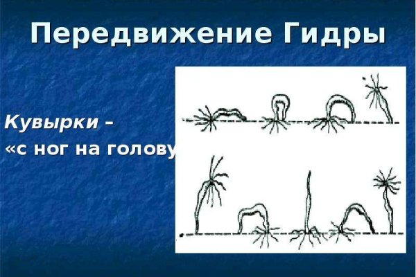 Блэк спрут что за сайт bs2web top